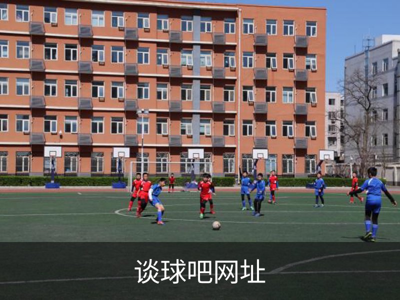 谈球吧网址概况